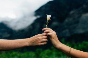 one hand passing white flower to another person's hand