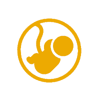 fetus gold icon